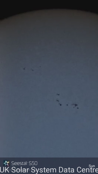 1743251051833.jpg