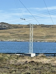 416100537 692591286289343 5925057412882919859 n - Copy